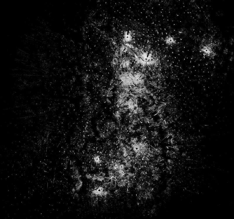 Forest Scan slide