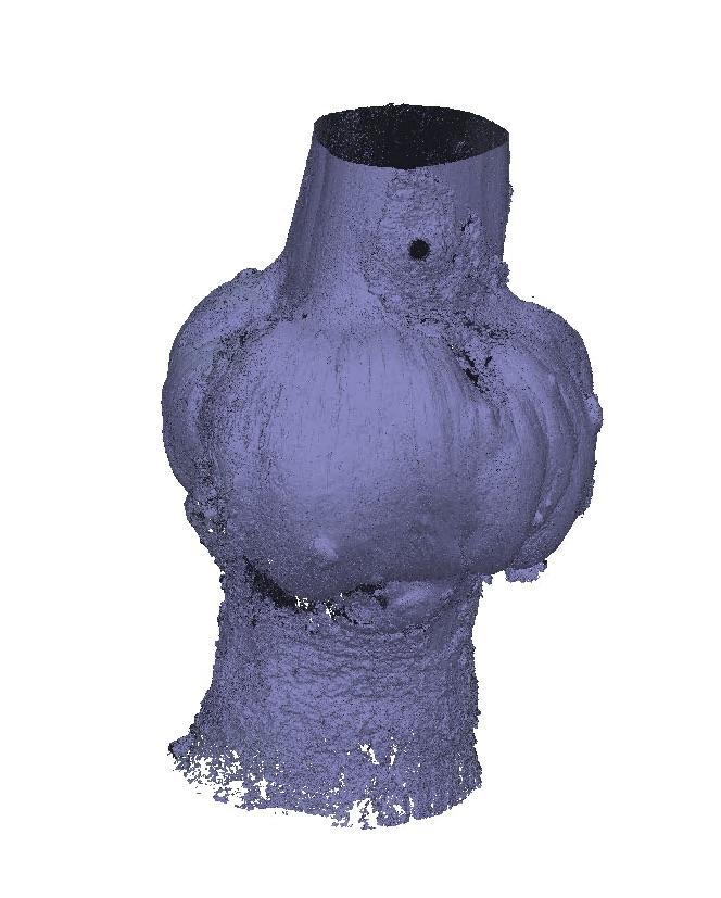 Tree 3D Scan BaddeckTreeGrowth2