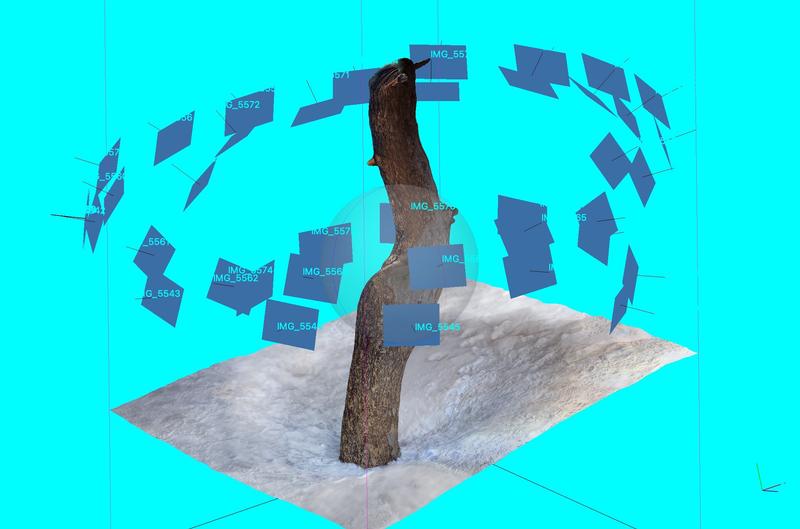 Tree 3D Scan TunnelMountainTree_00