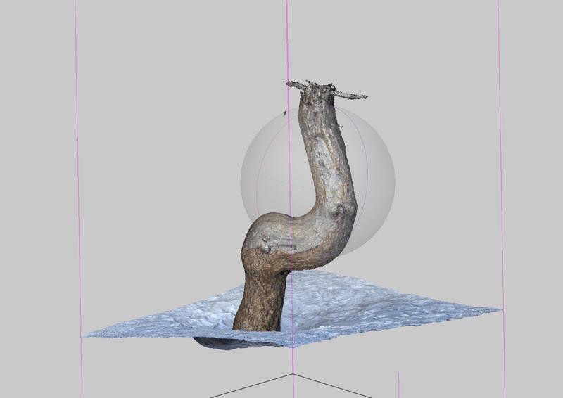 Tree 3D Scan TunnelMountainTree_01