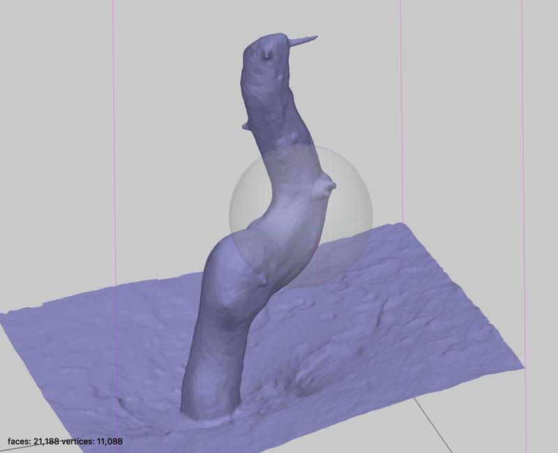 Tree 3D Scan TunnelMountainTree_02
