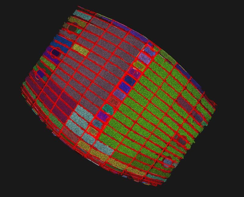 AA Wood Lab ShellSegments