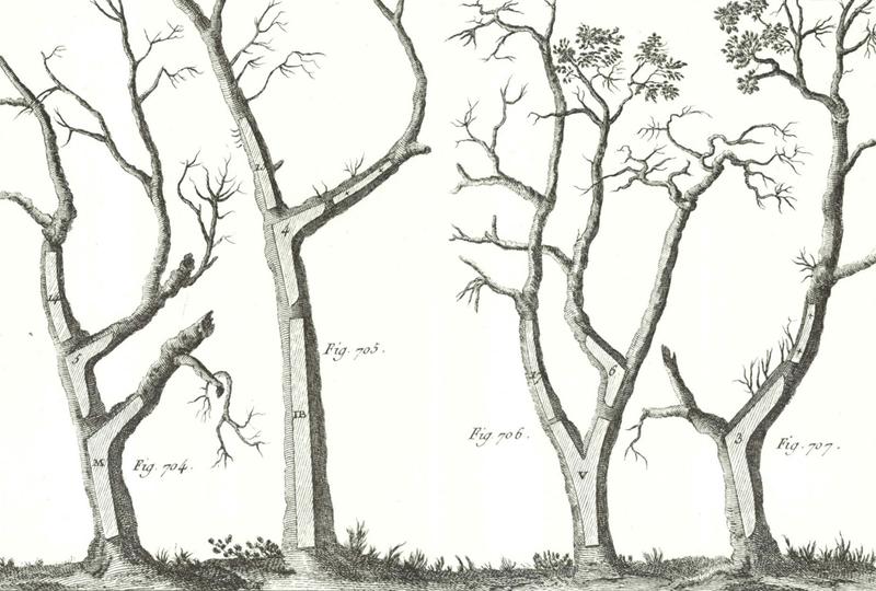Zac Thesis Illustration EncyclopedieMethodique NavalTimber