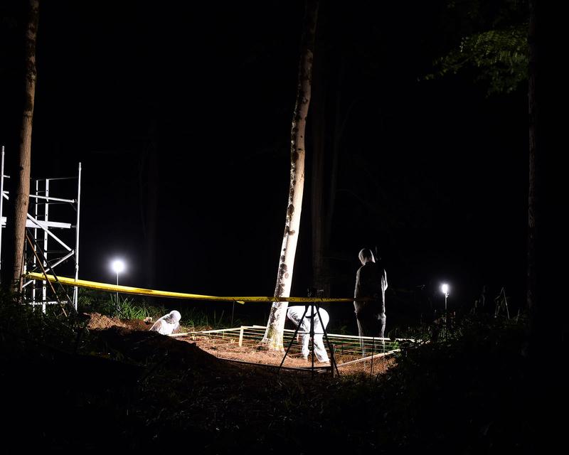 An Ash Tree forensic scene LucasWilson