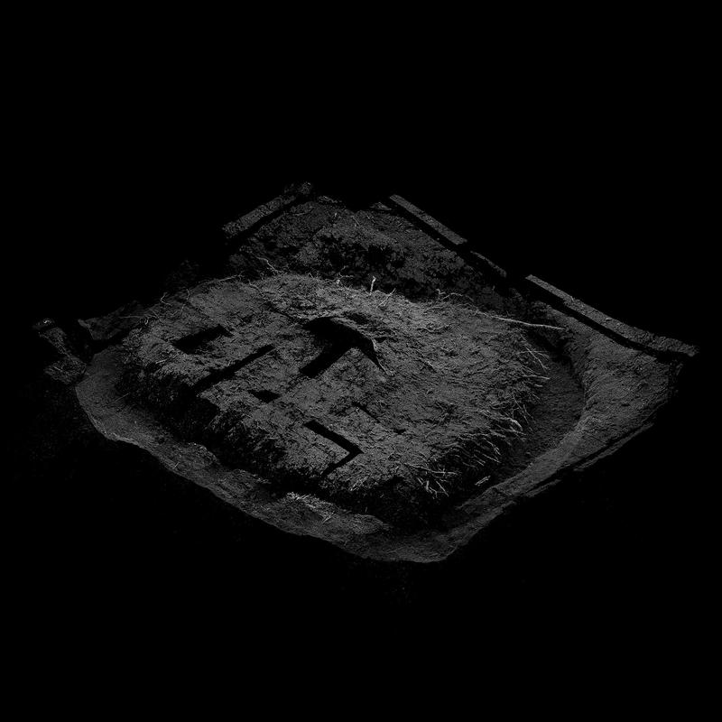 An Ash Tree tree root 3D scan