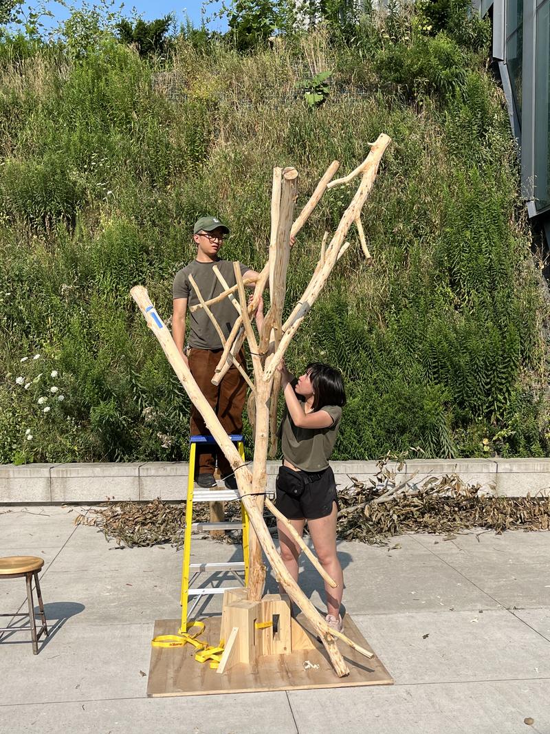Beech Thicket Build slide
