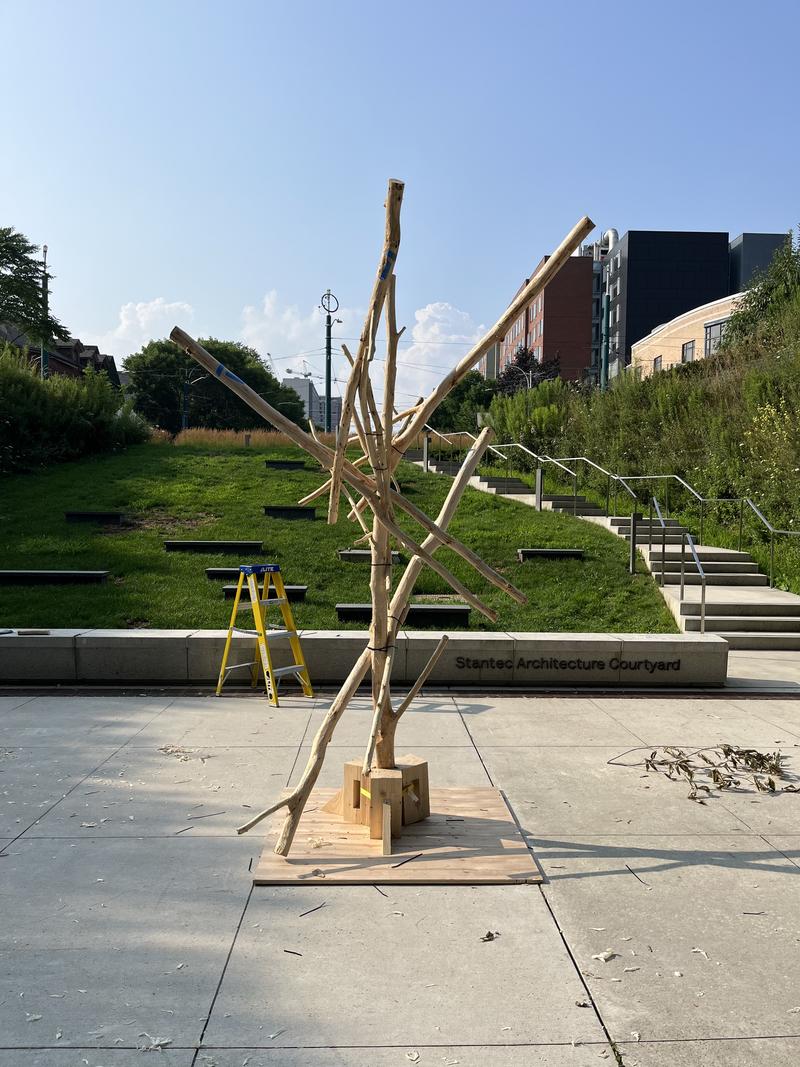 Beech Thicket Build slide