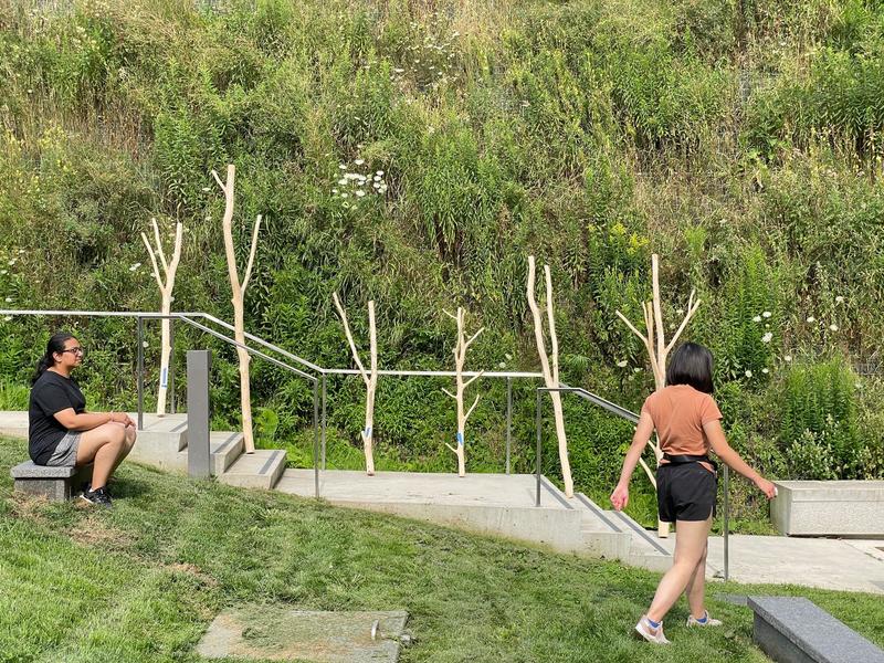 Beech Thicket Build slide