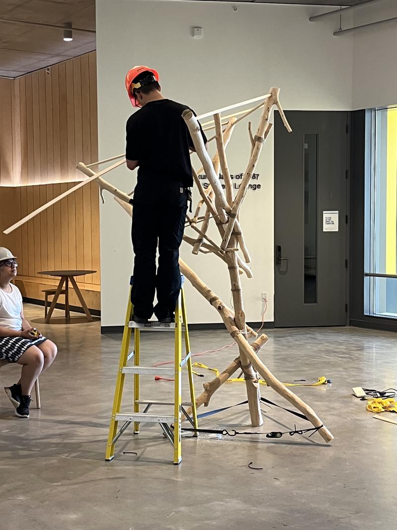 Beech Thicket Build slide