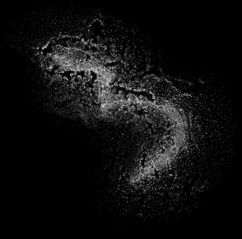 bike trail_trailoverview