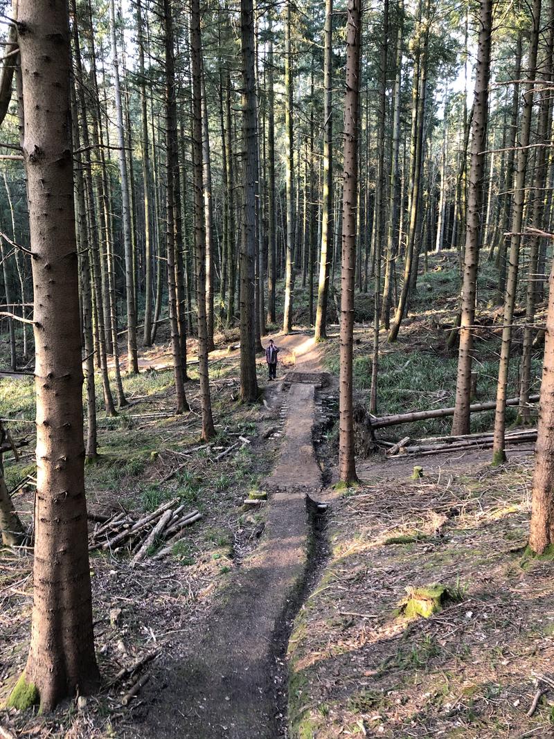 bike trail_viewdownchute