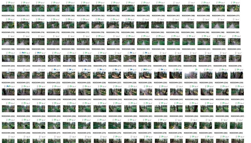 bike trail_PGTprocess