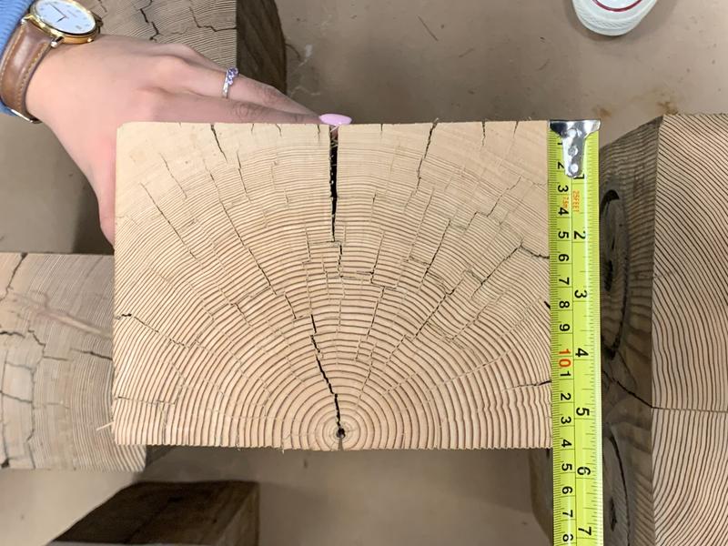 Working with What's Around slide