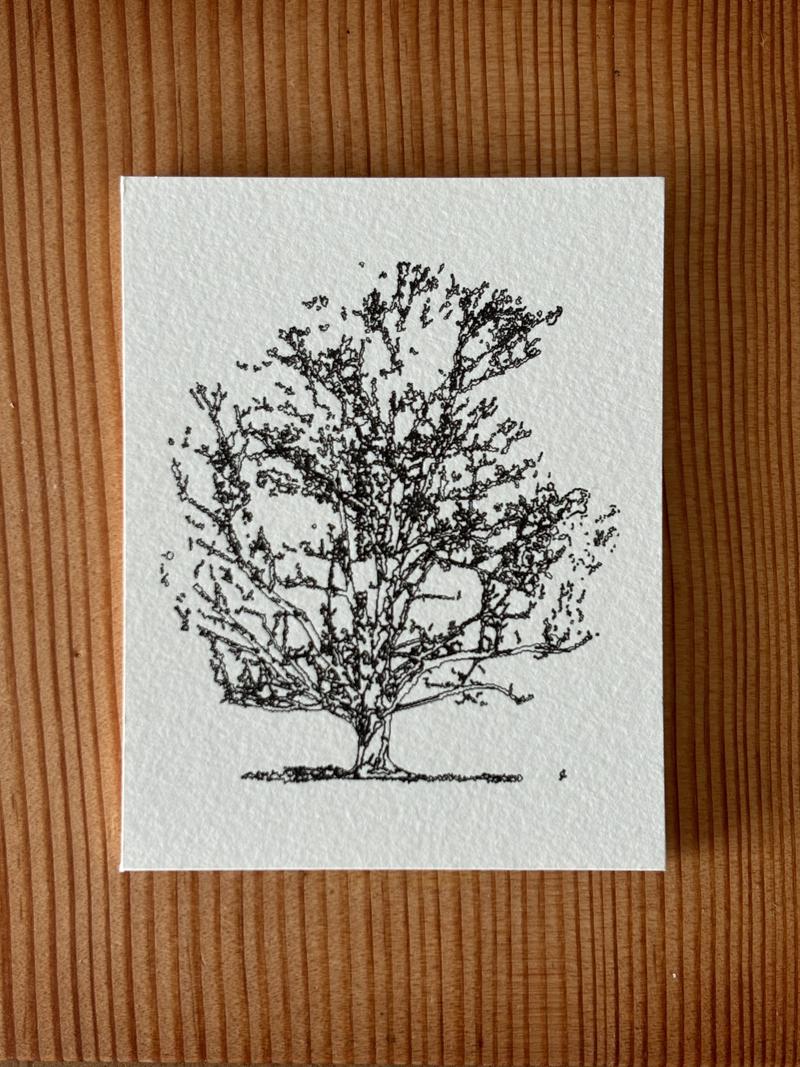 Cards and Prints slide