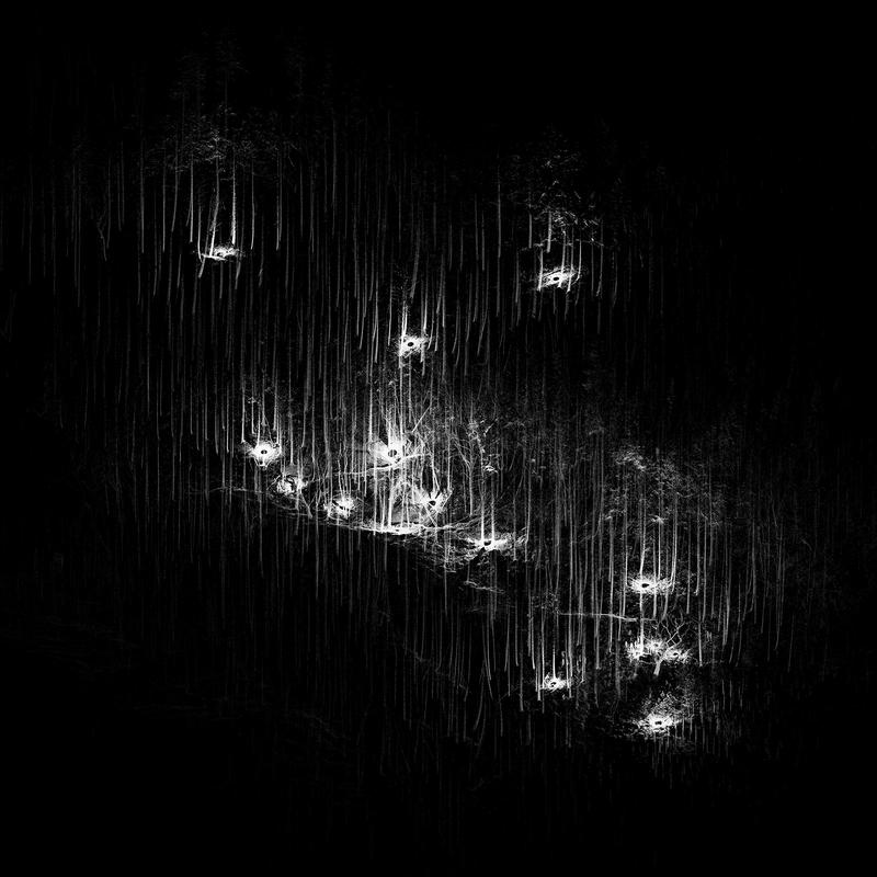 ForestScan