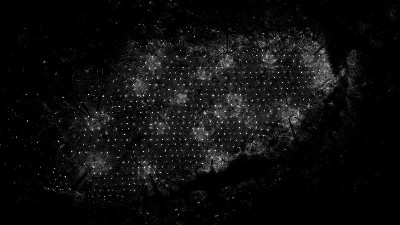 ForestScan managedplan