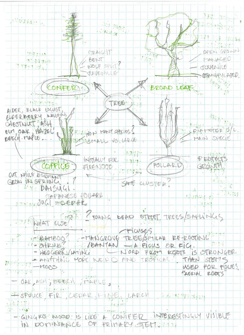 Graph Paper tree parts diagram