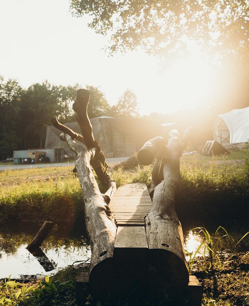 Ground to Crown by Patrick Birch Bridge FaridYounesi