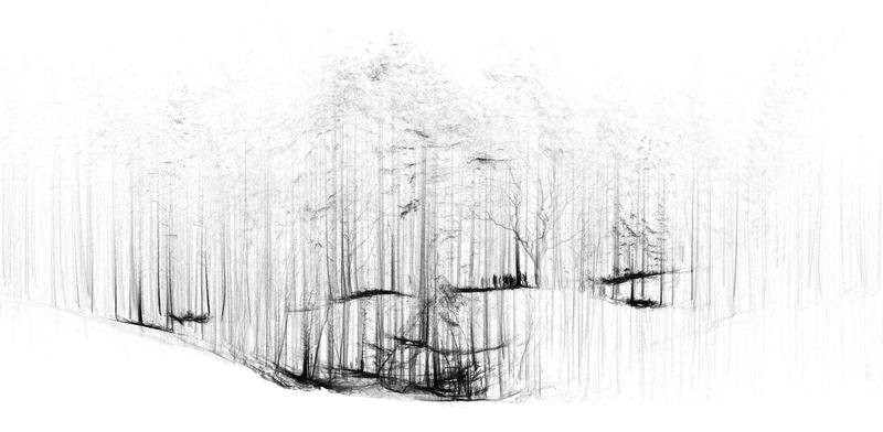 ForestScanElevation_ZacharyMollica