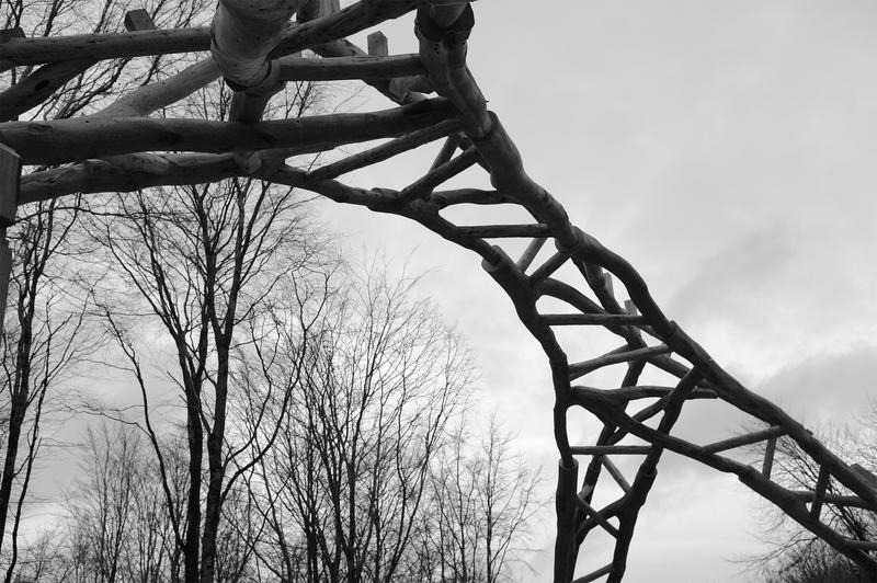 BWClearTreeForkTruss_ZacharyMollica