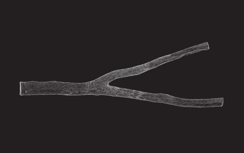 ForkPhotogrammetryMesh_ZacharyMollica