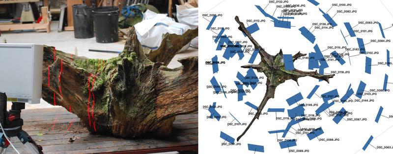 OakRootPlatePhotogrammetry_ZacharyMollica