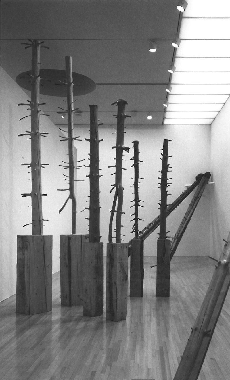 How We Make Houses Brief PenoneRepeatingTheForest
