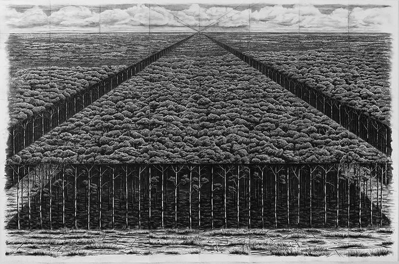 How We Make Houses Brief Michael Amery Trees by Man 17