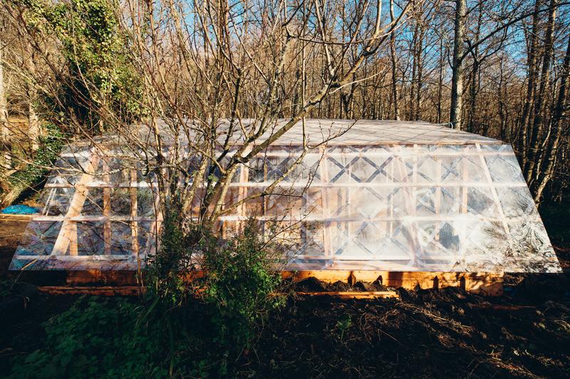 Kitchen Garden Garden FaridYounesi