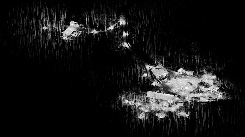 Leading Hooke Park HP Campus 3DScan