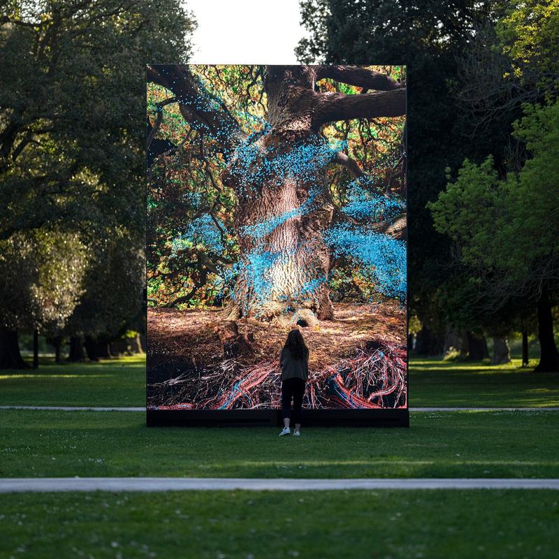MLF: Of The Oak slide