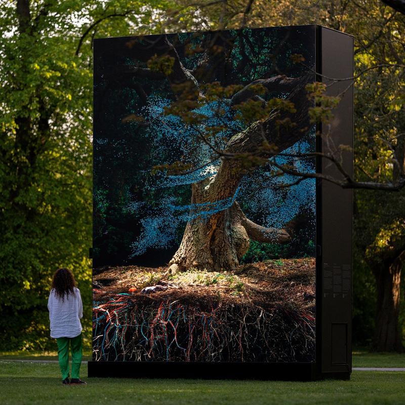MLF: Of The Oak slide