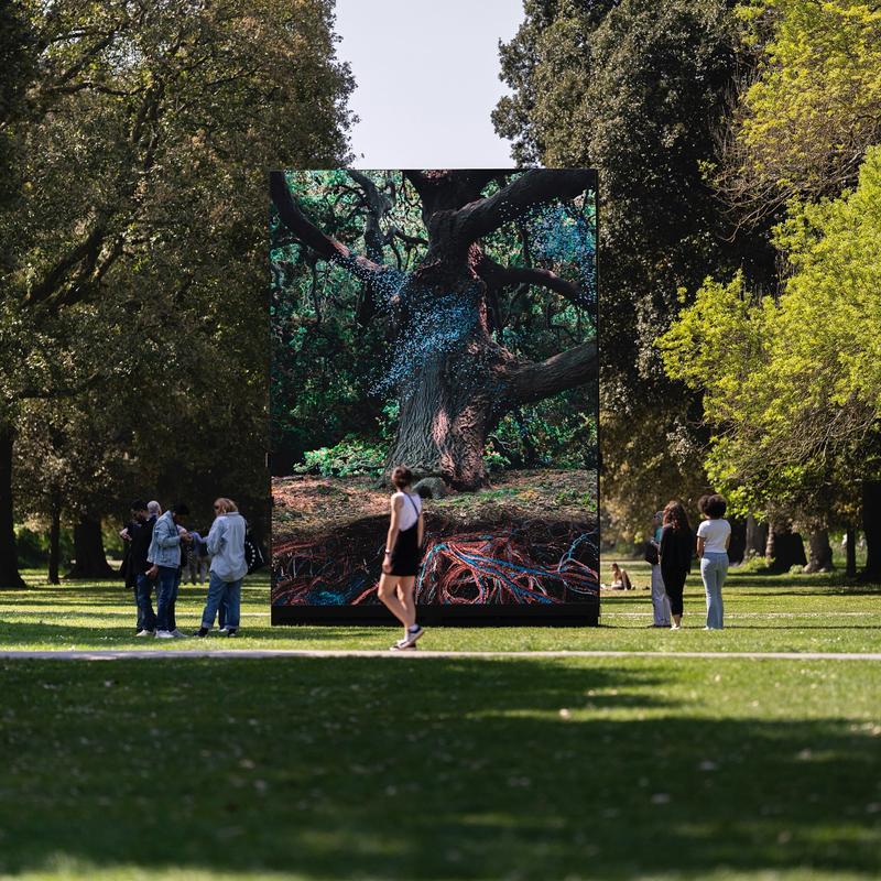MLF: Of The Oak slide
