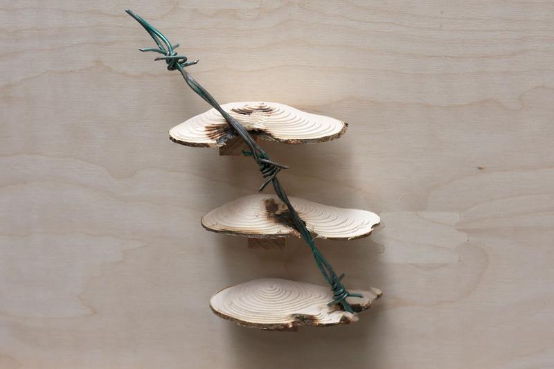 Slow Joinery by Laura Welsh