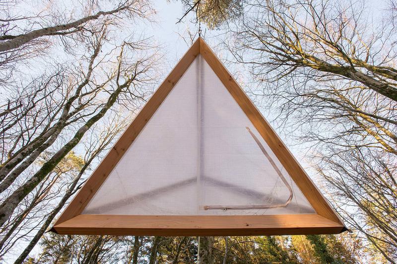 Tetrahedron in the Forest