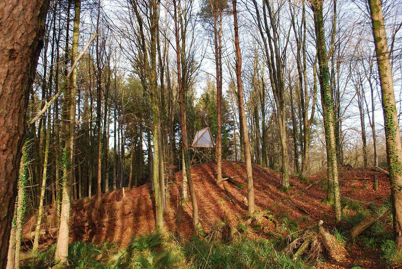 Tetrahedron in the Forest