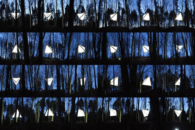 Tetrahedron in the Forest