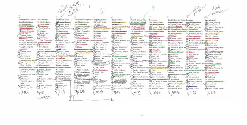 Toronto Trees neighbourhood rankings graph