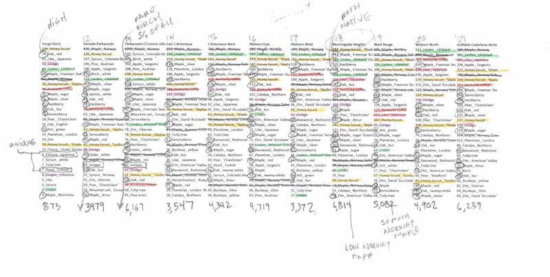 Toronto Trees neighbourhood rankings graph