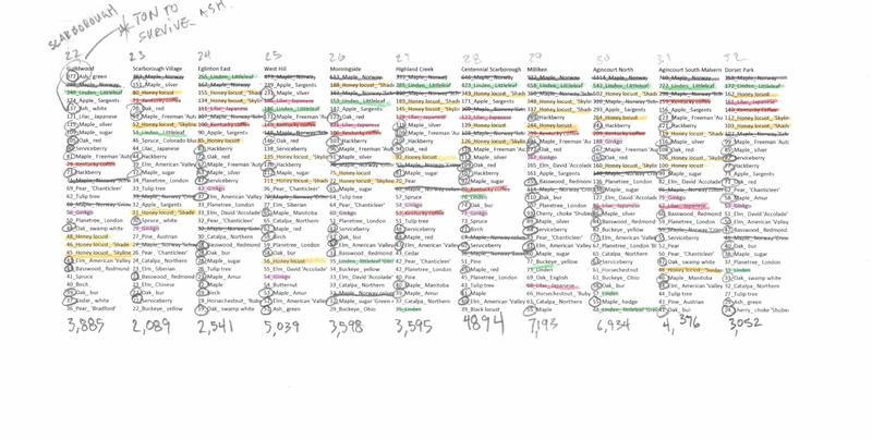 Toronto Trees neighbourhood rankings graph