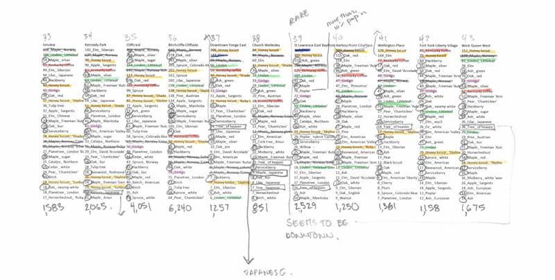 Toronto Trees neighbourhood rankings graph