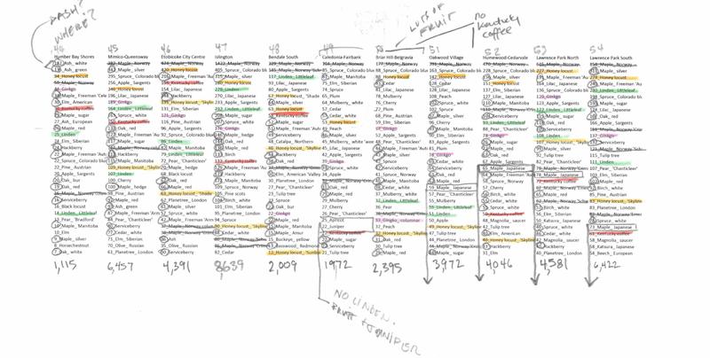 Toronto Trees neighbourhood rankings graph