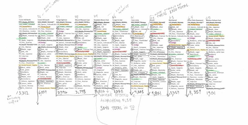 Toronto Trees neighbourhood rankings graph