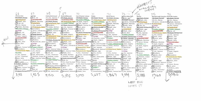 Toronto Trees neighbourhood rankings graph