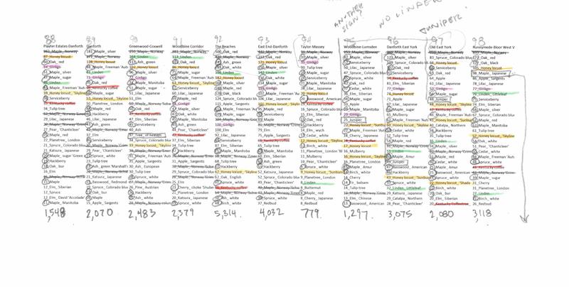 Toronto Trees neighbourhood rankings graph