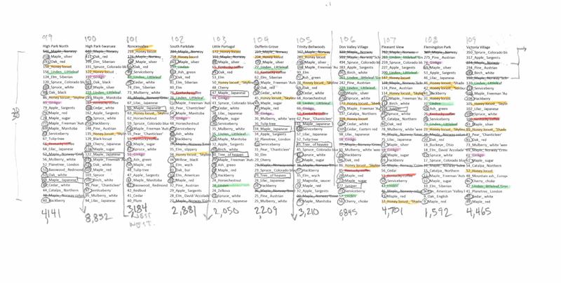 Toronto Trees neighbourhood rankings graph