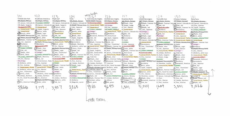 Toronto Trees neighbourhood rankings graph