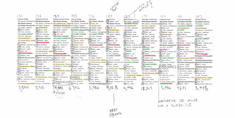 Toronto Trees neighbourhood rankings graph