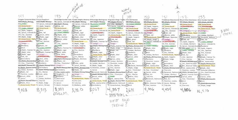 Toronto Trees neighbourhood rankings graph