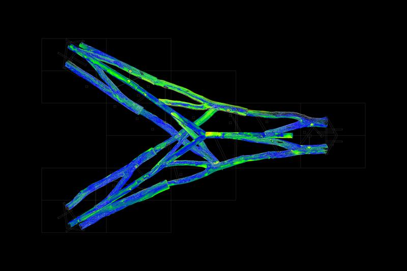 Tree Fork Truss Analysis slide
